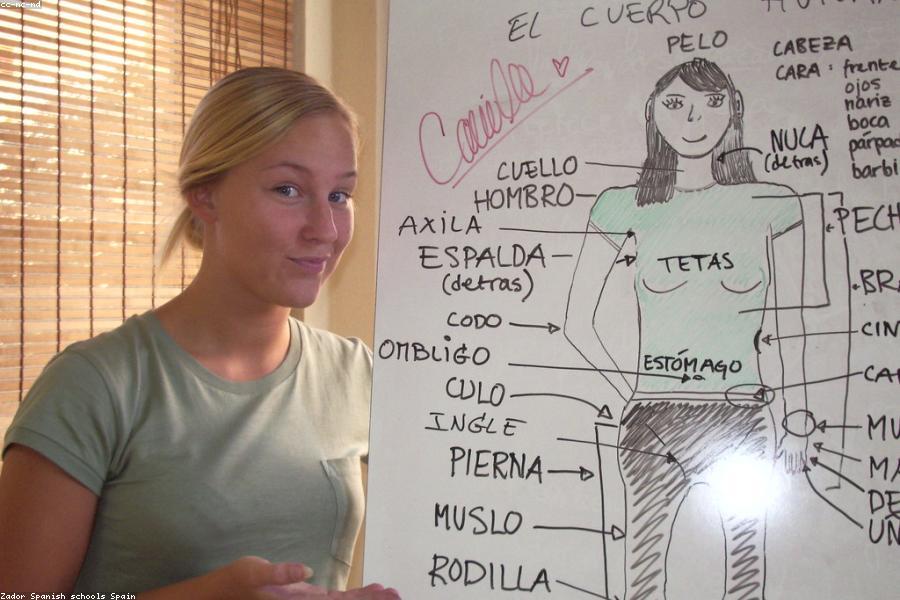 Language Courses